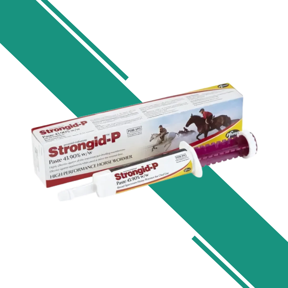 Strongid P Paste Plain - Single Syringe